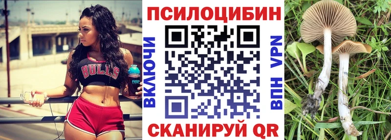 Псилоцибиновые грибы Psilocybine cubensis  Димитровград 