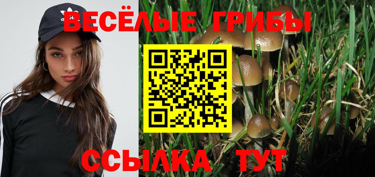 Псилоцибиновые грибы мицелий Димитровград