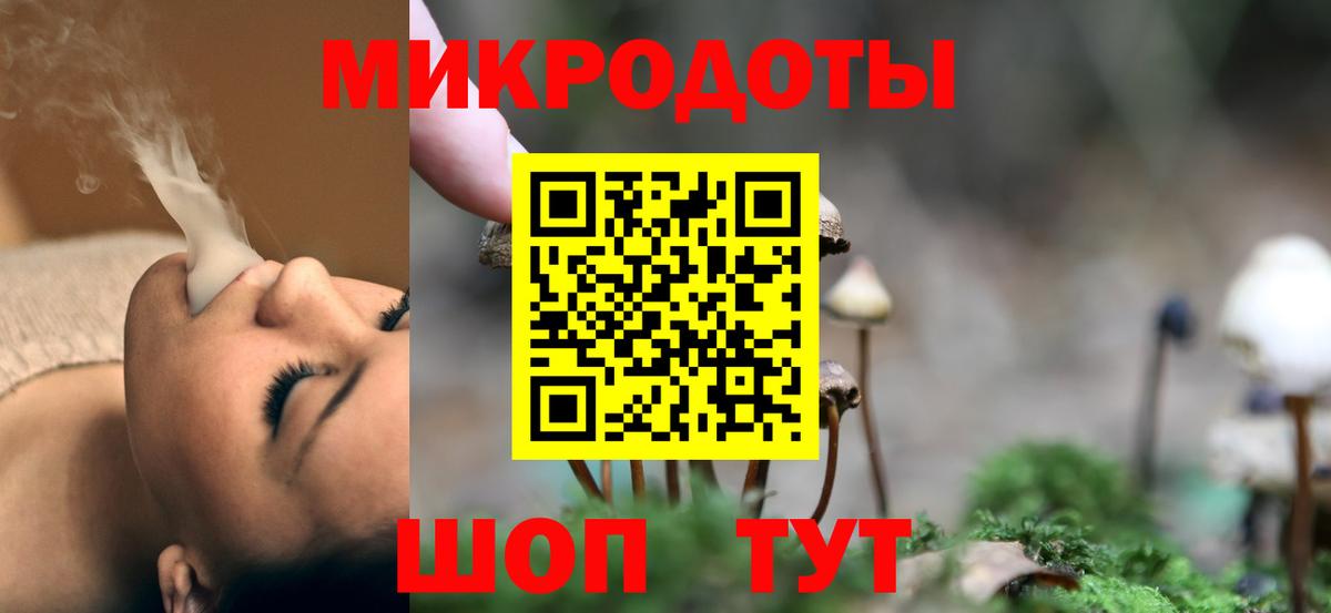 Псилоцибиновые грибы GOLDEN TEACHER  наркошоп  Димитровград  Вход с VPN  Псилоцибиновые грибы мицелий 